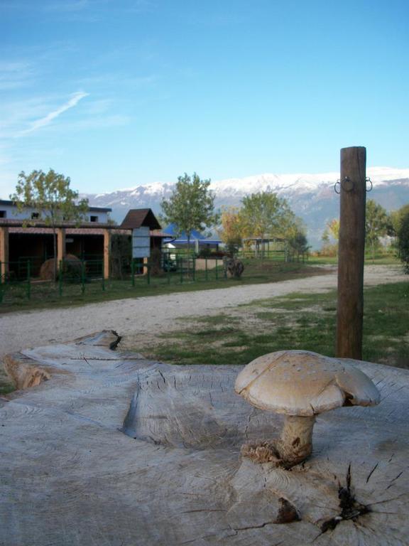 Locanda Dell'Asino D'Oro Βίλα Σουλμόνα Εξωτερικό φωτογραφία