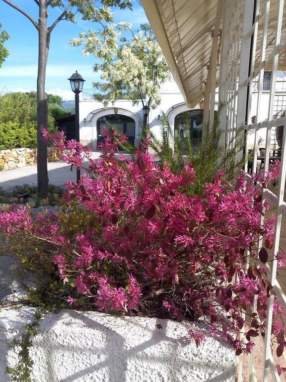 Locanda Dell'Asino D'Oro Βίλα Σουλμόνα Εξωτερικό φωτογραφία